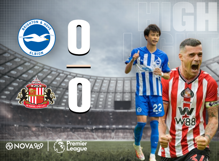 brighton vs sunderland